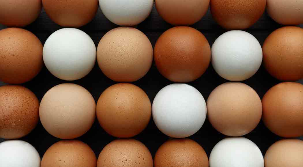 A empresa diz ser a primeira da indústria de ovos a oferecer caixas reutilizáveis (Foto: Reprodução/iStock)