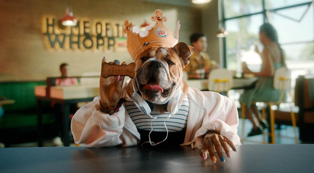 Burger King lança Whopper para cachorro, o Dogpper