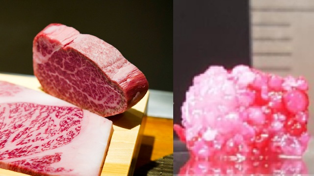 Wagyu de laboratório: Carne mais cara do mundo impressa em 3D é carne?