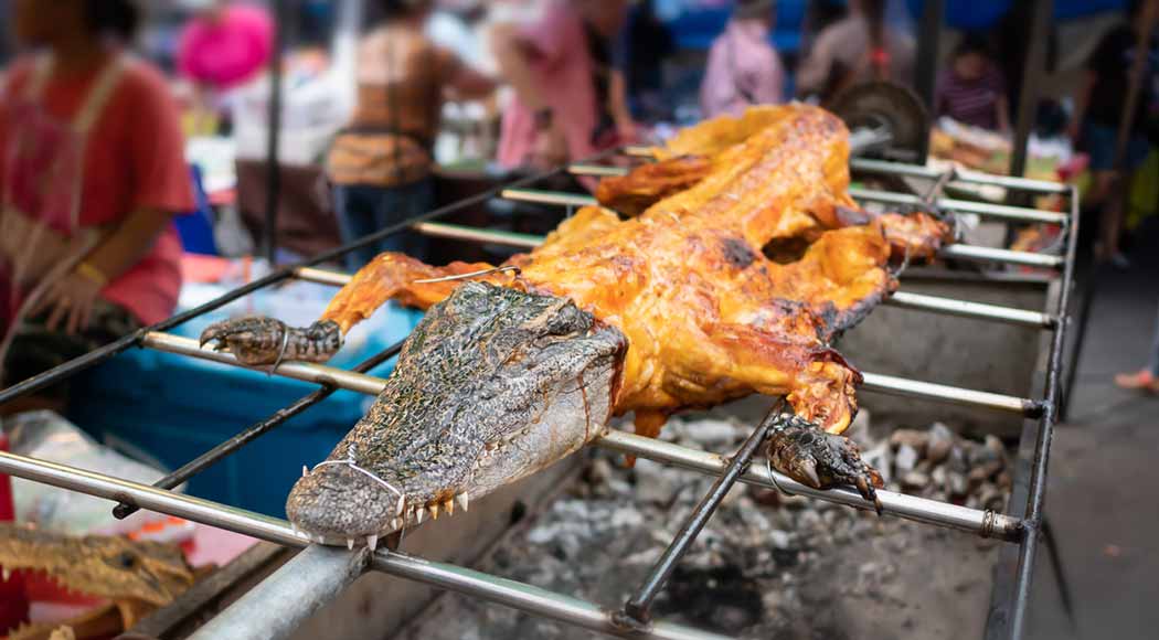 Crise faz tailandeses trocarem carne de porco por carne de crocodilo (Foto: iStock)