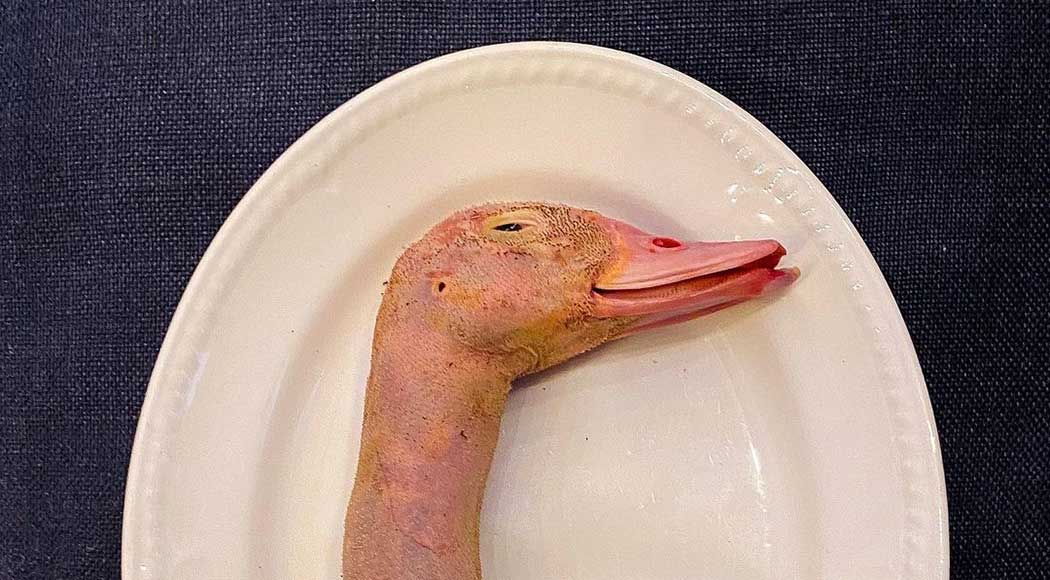 Restaurante de Londres choca ao servir receita com cabeça de pato (Foto: Western's Laundry/Instagram)