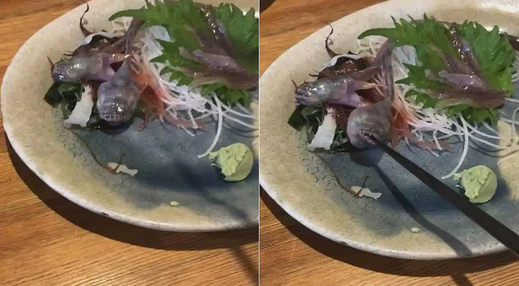Vídeo: peixe vivo ataca palito de madeira em restaurante japonês (Foto: Reprodução)
