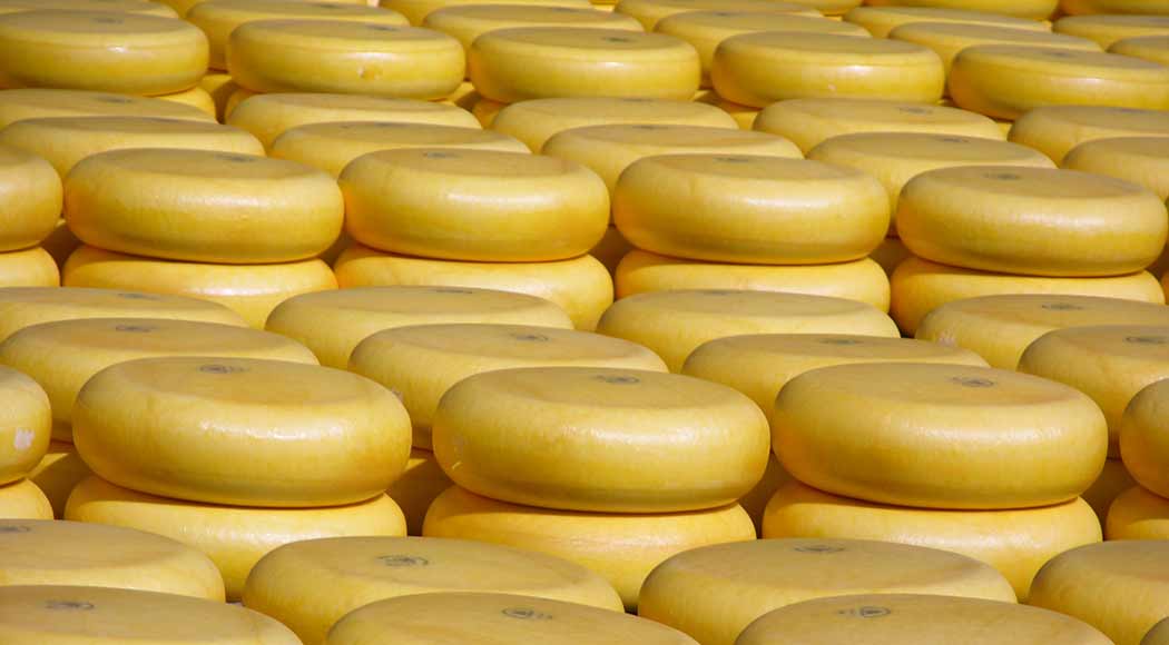 Ladrões roubam 600 kg de queijo avaliados em R$ 108 mil na Holanda (Foto: iStock)