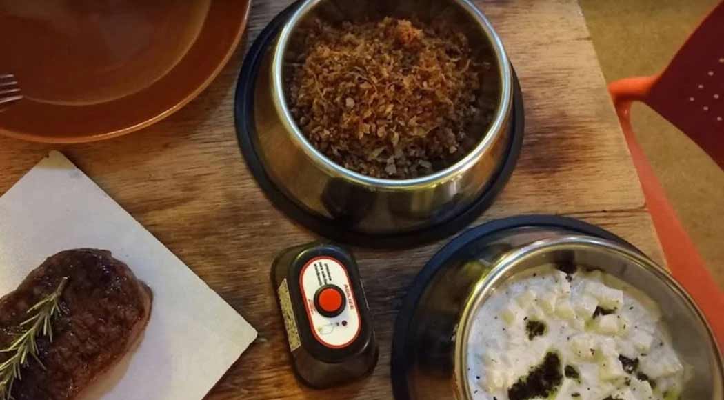 Hamburgueria é criticada por servir comida em potes de ração para cachorro (Foto: Reprodução/Instagram)