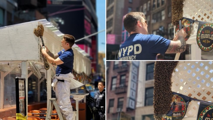 Polícia de Nova York remove 2 mil abelhas de restaurante. (Foto: NYPD/Reprodução)