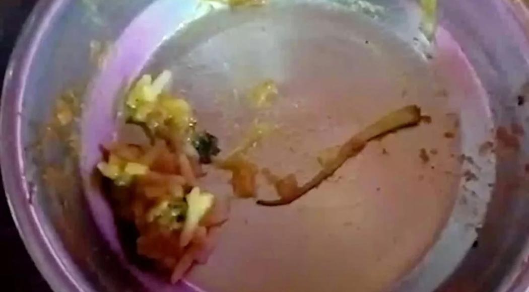 Homem acha rabo de lagarto em prato de restaurante e é internado em seguida (Foto: Reprodução)