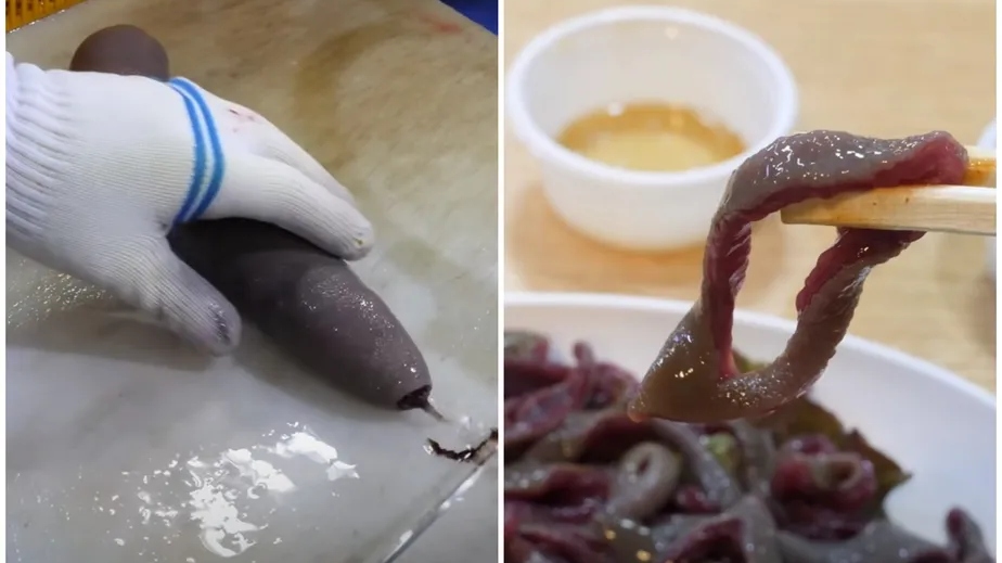 Peixe-pênis é uma iguaria bastante consumida na Ásia (Crédito: Reprodução/YouTube)