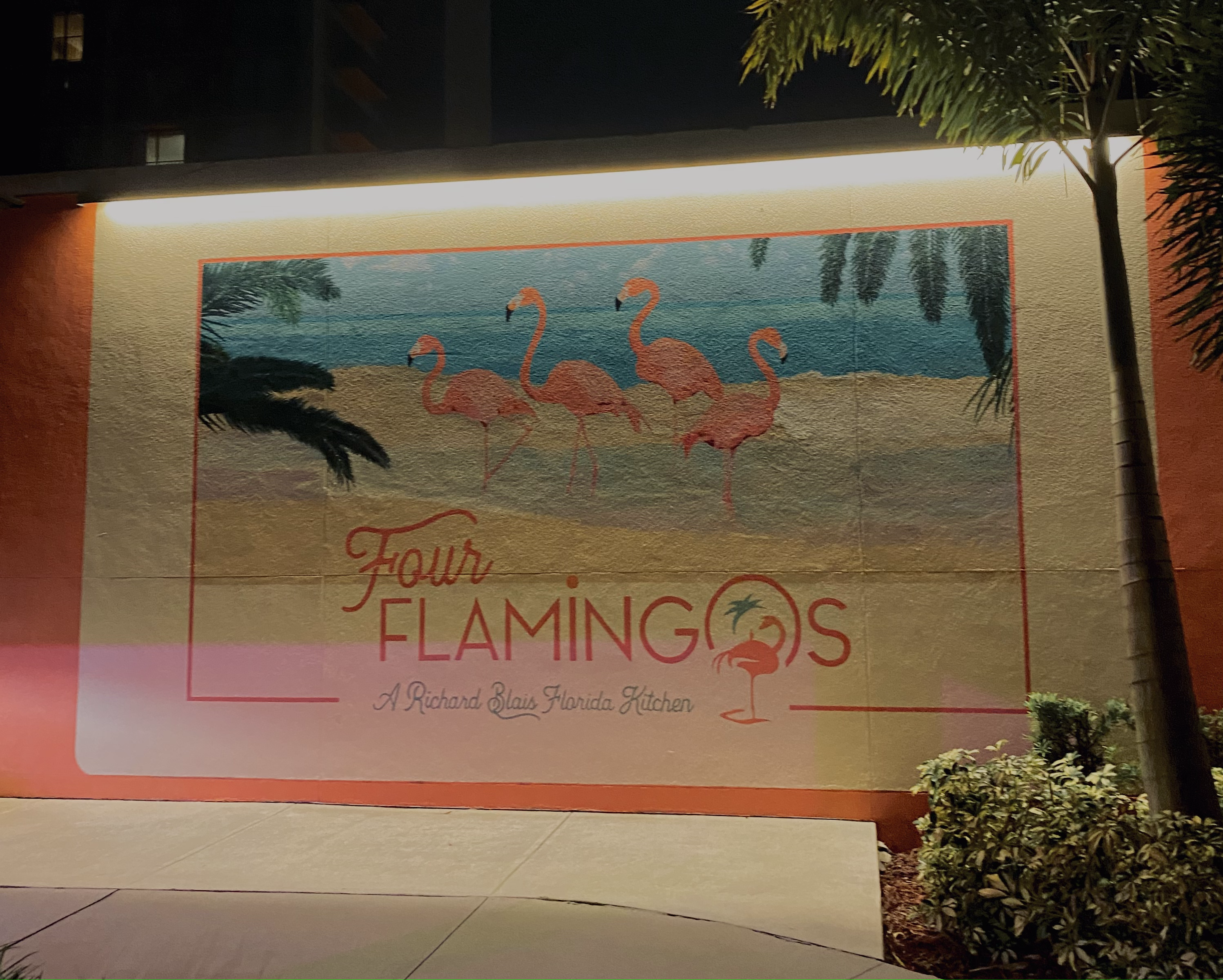 Four Flamingos (Foto: Beatriz Mizuno)