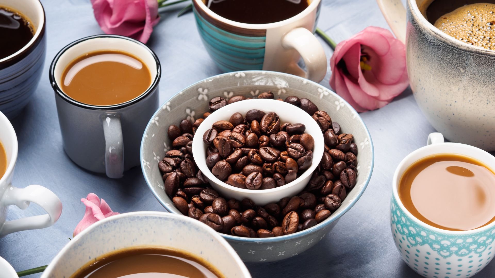 Arábica e Robusta: entenda as diferenças entre os principais tipos de café