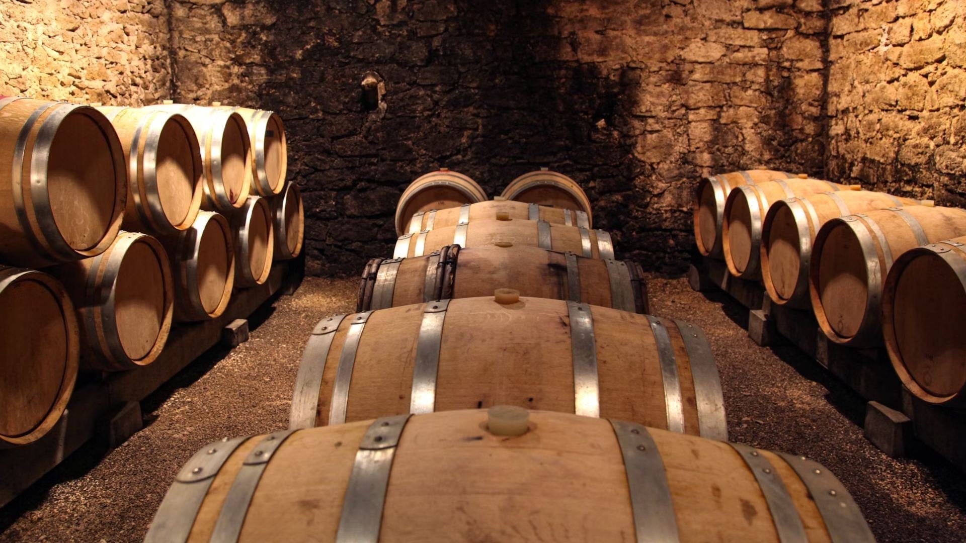 Barril de carvalho francês ou americano? Entenda as diferenças e impactos no vinho